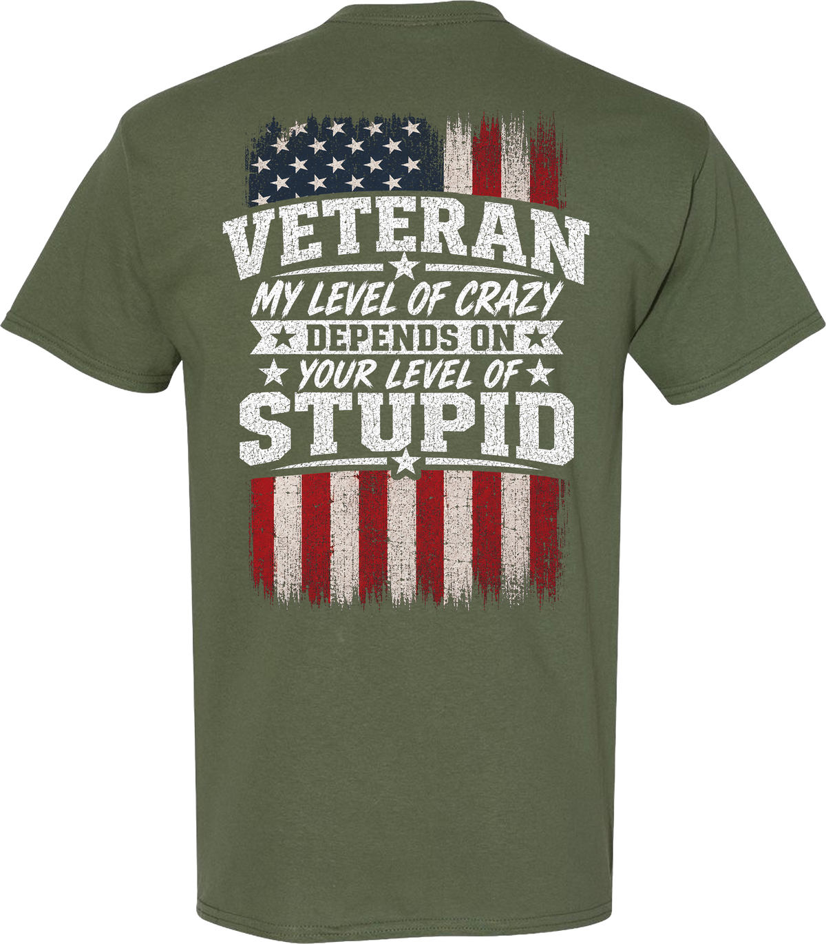 Veteran My Level of Crazy T-Shirt
