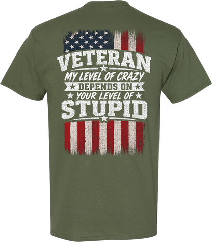 Veteran My Level of Crazy T-Shirt