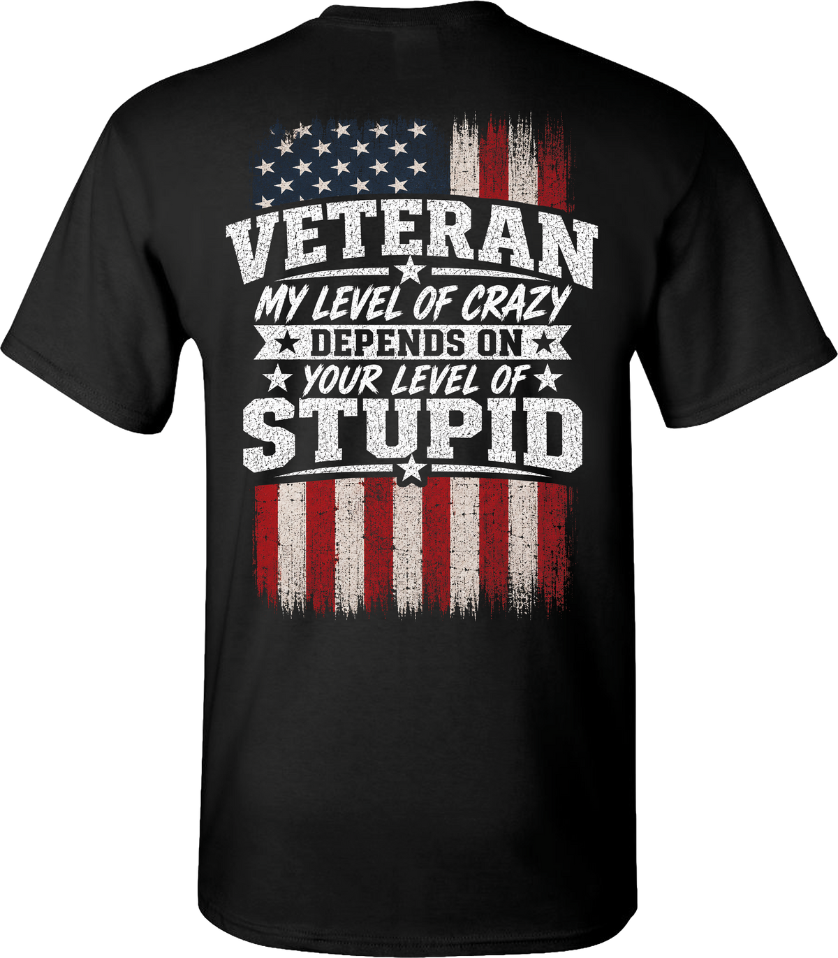 Veteran My Level of Crazy T-Shirt