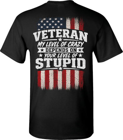 Veteran My Level of Crazy T-Shirt