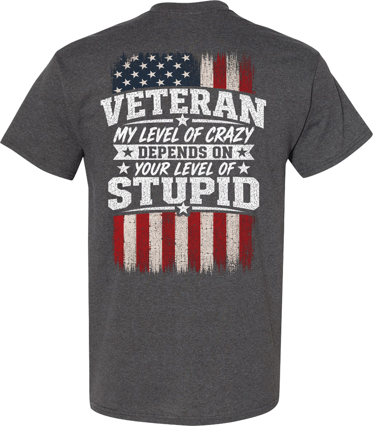 Veteran My Level of Crazy T-Shirt