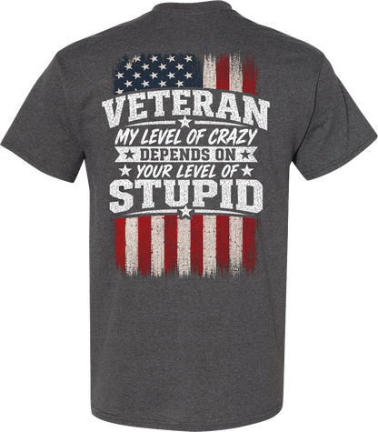 Veteran My Level of Crazy T-Shirt