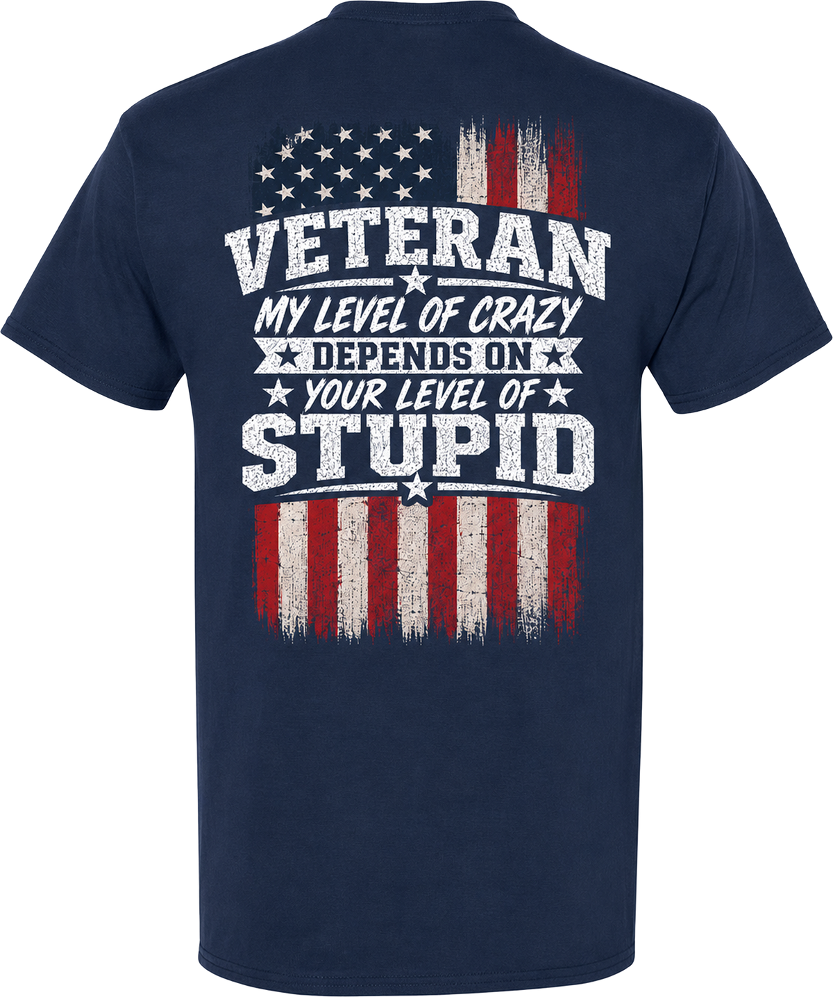 Veteran My Level of Crazy T-Shirt