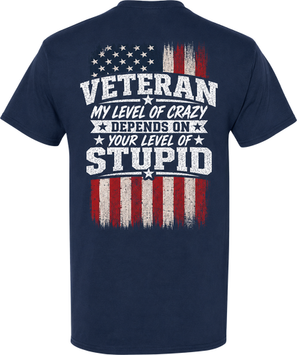 Veteran My Level of Crazy T-Shirt