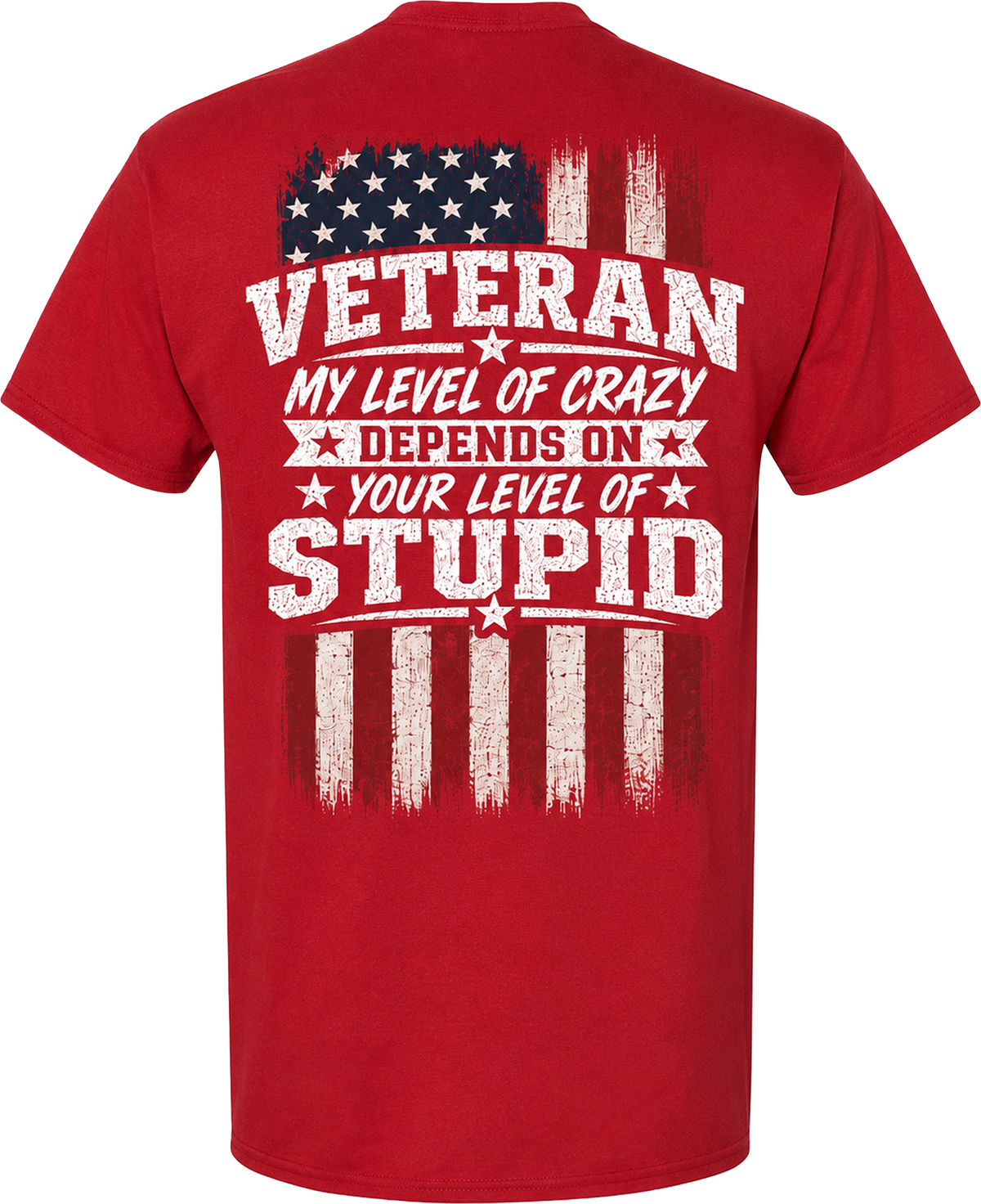 Veteran My Level of Crazy T-Shirt