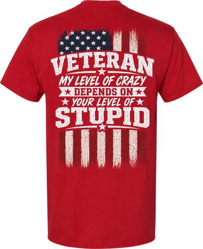 Veteran My Level of Crazy T-Shirt